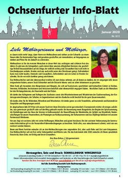 Ochsenfurter Info-Blatt - Januar 2020 Nr. 615 - Stadt Ochsenfurt