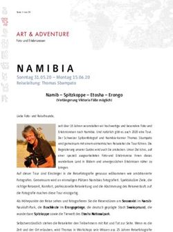 Namib - Spitzkoppe - Etosha - Erongo - Art & Adventure