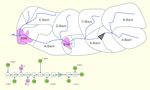 "BFGM" Hydrologisches Basismodell - L Version 2.5 - Publikationsdienst der LUBW ...