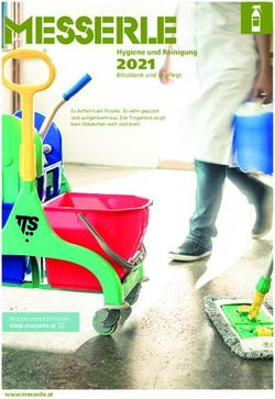 2021 Hygiene und Reinigung - shop.messerle.at