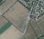 Gemeinde Windesheim Bebauungsplan "Auf den Acht Morgen" Fachbeitrag Naturschutz - VG Langenlonsheim ...