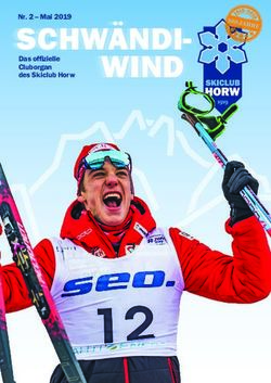SCHWÄNDI- WIND Nr. 2 - Mai 2019 Das offizielle Cluborgan des Skiclub Horw