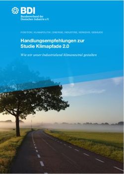 Handlungsempfehlungen zur Studie Klimapfade 2.0 - Wie wir unser Industrieland klimaneutral gestalten