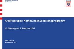 Arbeitsgruppe Kommunalinvestitionsprogramm - Sitzung am 3. Februar 2017 Patrik Kraulich Referatsleiter IV 3 - Hessisches Ministerium der Finanzen