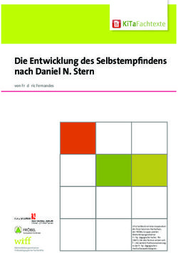 Die Entwicklung des Selbstempfindens nach Daniel N. Stern