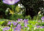 April - August 2019 Marktplatz Kreuztal & Dreslers Park - Das Jubil&auml;umsprogramm zum 50. Geburtstag - Stadt Kreuztal