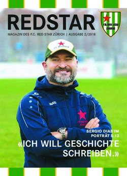 REDSTAR - "ICH WILL GESCHICHTE SCHREIBEN." SERGIO DIAS IM PORTRÄT S.12 - FC Red Star Zürich