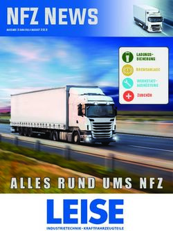 NFZ News - ALLES RUND UMS NFZ - Ladungs-sicherung Bremsanlage werkstatt-ausr&uuml;stung - LEISE.DE