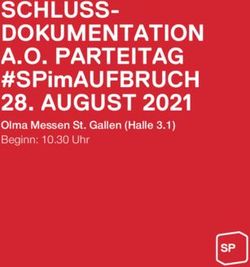 SCHLUSS-DOKUMENTATION A.O. PARTEITAG - #SPimAUFBRUCH