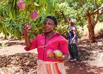 Biovision - Giftige Tomaten? - Stiftung für ökologische Entwicklung - Biovision Foundation