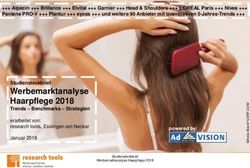Werbemarktanalyse Haarpflege 2018 - Studiensteckbrief - research tools