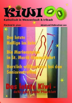 KIWI - DAS LETZTE KIWI - DER LETZTE HEILIGE IM JAHR DIE MARIENSTATUE IN ST. MARIÄ HIMMELFAHRT HERZLICH WILLKOMMEN BEI DEN SENIORENTREFFEN ...