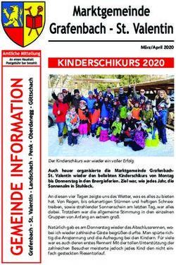 KINDERSCHIKURS 2020 - Grafenbach-St. Valentin