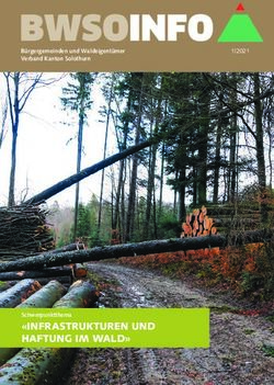 BWSOINFO - "infrastrukturen und Haftung im Wald" Schwerpunktthema - Bürgergemeinden und Waldeigentümer Verband Kanton Solothurn