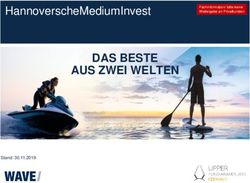 DAS BESTE AUS ZWEI WELTEN - HannoverscheMediumInvest