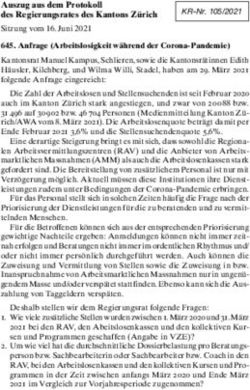 Auszug aus dem Protokoll des Regierungsrates des Kantons Zürich - Kanton Zürich