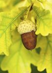 Der Herbst kann kommen - GESUNDHEIT Bielefelder Kinderfilmfest - Milkids