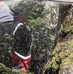 Ab in den Wald Hei&szlig;e Neuigkeiten 2018 - 4092 Esternberg Tel.: +43 (0) 7714 / 80 188 www.profiforst.at