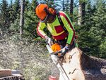 Ab in den Wald Hei&szlig;e Neuigkeiten 2018 - 4092 Esternberg Tel.: +43 (0) 7714 / 80 188 www.profiforst.at
