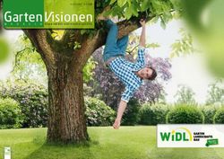 AUSGABE 1 2019 - Widl Garten