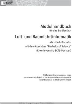 Modulhandbuch f&uuml;r das Studienfach