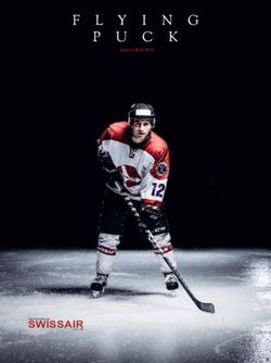 SWISSAIR - Saison 2018/2019 - EHC Swissair