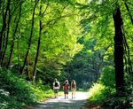 Naturparke Nieder&ouml;sterreich Sommerprogramm 2018 - Die sch&ouml;nsten Wanderungen, F&uuml;hrungen und Veranstaltungen