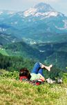 Naturparke Nieder&ouml;sterreich Sommerprogramm 2018 - Die sch&ouml;nsten Wanderungen, F&uuml;hrungen und Veranstaltungen