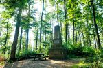 Naturparke Nieder&ouml;sterreich Sommerprogramm 2018 - Die sch&ouml;nsten Wanderungen, F&uuml;hrungen und Veranstaltungen