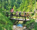 Naturparke Nieder&ouml;sterreich Sommerprogramm 2018 - Die sch&ouml;nsten Wanderungen, F&uuml;hrungen und Veranstaltungen