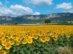 Naturparke Nieder&ouml;sterreich Sommerprogramm 2018 - Die sch&ouml;nsten Wanderungen, F&uuml;hrungen und Veranstaltungen