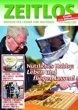 MAGAZIN FÜR L ANGEN UND EGELSBACH - Auf der Suche nach den Geschwindigkeiten des Lebens Bald schon elektrisch mit neuem Dreirad-Tandem des ...