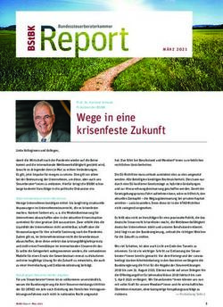 WEGE IN EINE KRISENFESTE ZUKUNFT - BSTBK