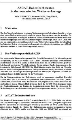 ASCAT-Bodenfeuchtedaten in der numerischen Wettervorhersage