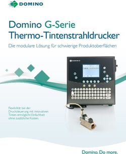 Domino G-Serie Thermo-Tintenstrahldrucker - Die modulare L&ouml;sung f&uuml;r schwierige Produktoberfl&auml;chen - falu GmbH