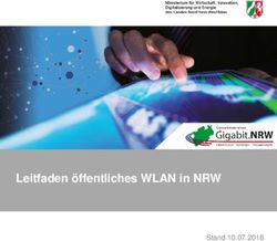Leitfaden öffentliches WLAN in NRW - Stand 10.07.2018 - Land NRW