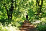Adipositas: Welchen Beitrag leistet das Gehirn? - Prof. Dr. Annette Horstmann - "Wohl bekomms! Dimensionen der Ern&auml;hrungsverantwortung" ...
