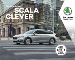 SCALA CLEVER DER NEUE &Scaron;KODA
