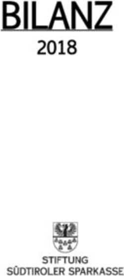 BILANZ 2018 - Stiftung S&uuml;dtiroler Sparkasse