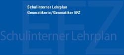 EFZSchulinterner Lehrplan