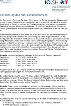 Einrichtung des päd. Glasfasernetzes - Medienberatung