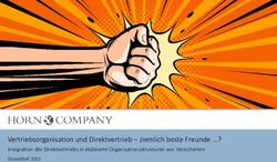 Vertriebsorganisation und Direktvertrieb - ziemlich beste Freunde ? - Integration des Direktvertriebs in etablierte Organisationsstrukturen von ...