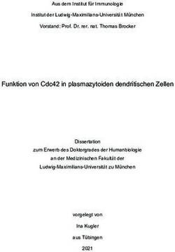 Funktion von Cdc42 in plasmazytoiden dendritischen Zellen