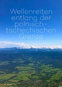 Wellenreiten entlang der polnisch-Grenze tschechischen - 26 segelfliegen 2-2021 - Segelfliegen Magazin