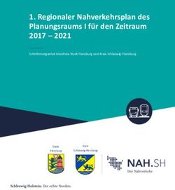 Regionaler Nahverkehrsplan des Planungsraums I für den Zeitraum 2017 2021 - Schnittmengenteil kreisfreie Stadt Flensburg und Kreis ...