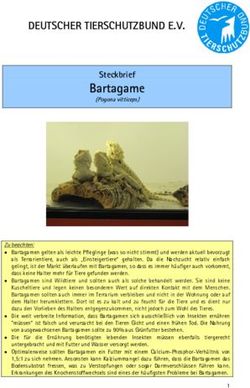 Bartagame DEUTSCHER TIERSCHUTZBUND E.V - Steckbrief