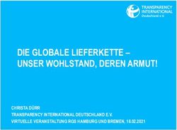 DIE GLOBALE LIEFERKETTE - UNSER WOHLSTAND, DEREN ARMUT! - CHRISTA D&Uuml;RR TRANSPARENCY INTERNATIONAL DEUTSCHLAND E.V. VIRTUELLE VERANSTALTUNG RGS ...