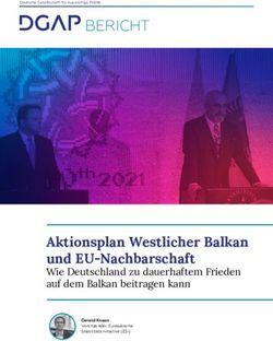 Aktionsplan Westlicher Balkan Und EU-Nachbarschaft - Wie Deutschland Zu ...