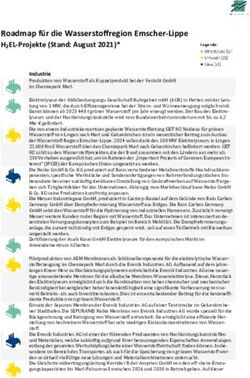 ROADMAP F&Uuml;R DIE WASSERSTOFFREGION EMSCHER-LIPPE H2EL-PROJEKTE (STAND: AUGUST 2021)* - WIN ...