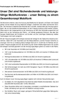 Unser Ziel sind fl&auml;chendeckende und leistungs-f&auml;hige Mobilfunknetze - unser Beitrag zu einem Gesamtkonzept Mobilfunk - SPD-Bundestagsfraktion
